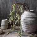 Trailing Catkin Stem