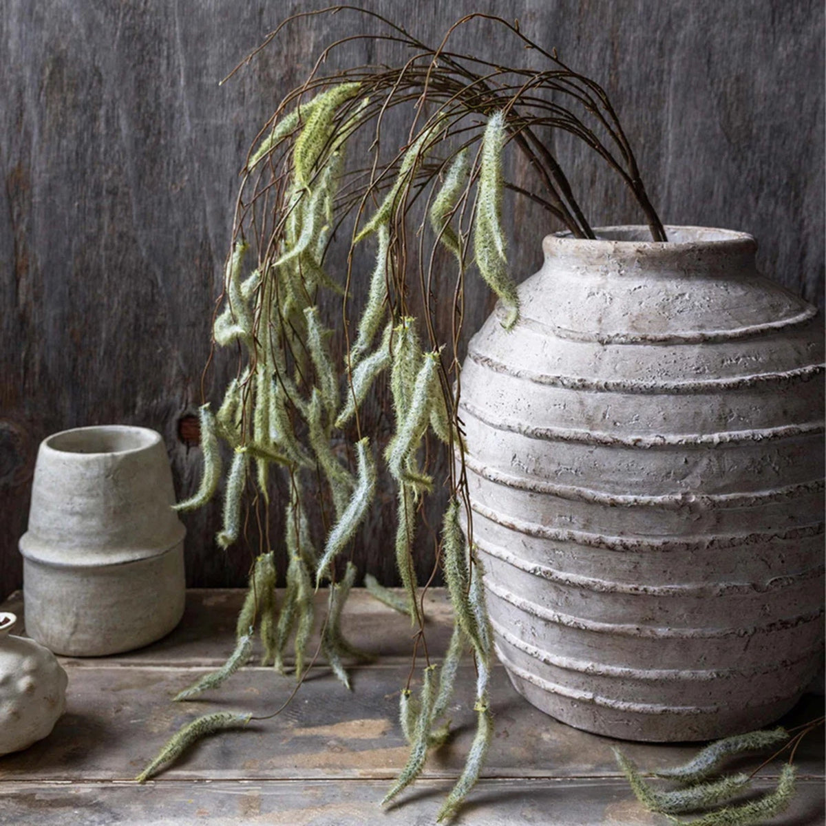 Trailing Catkin Stem