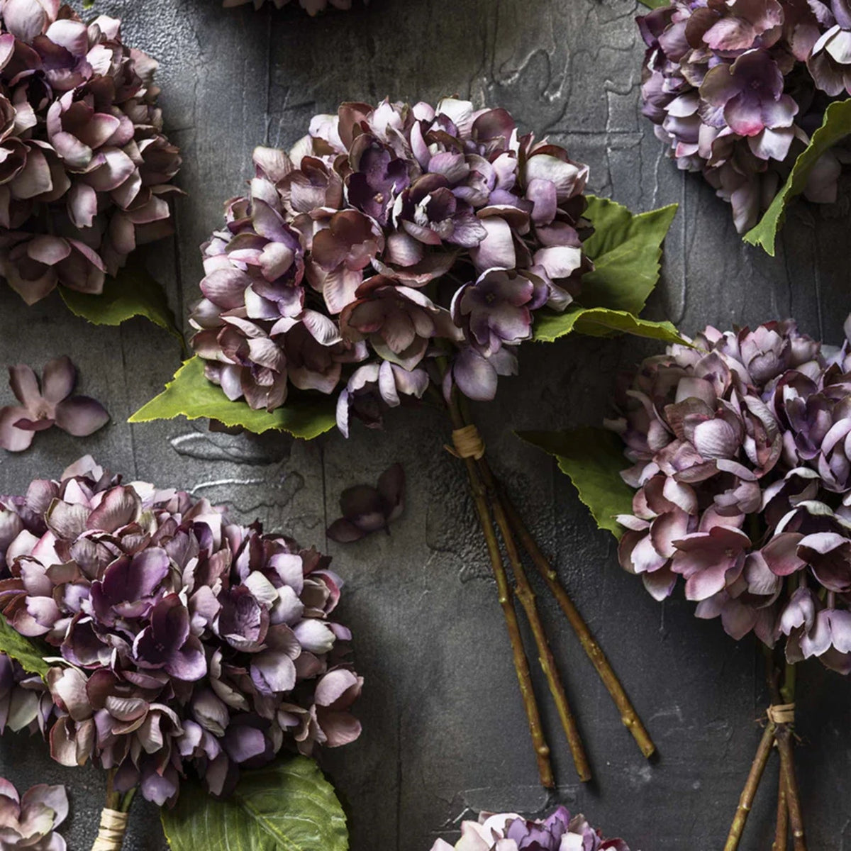 Damson Hydrangea Bunch