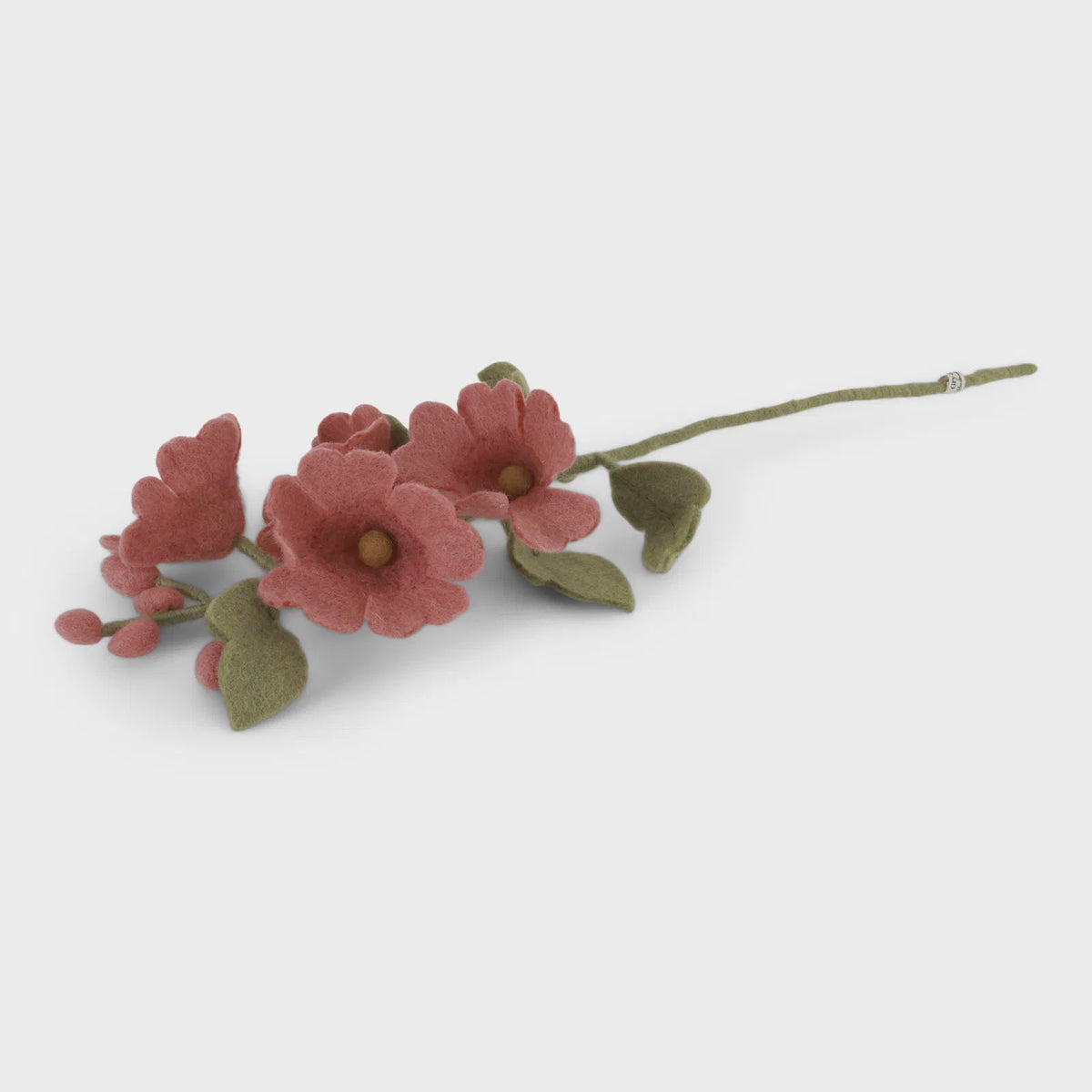 Hollyhock