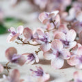 Japanese Cherry Blush