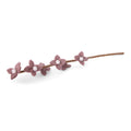 Flowers on a Stalk