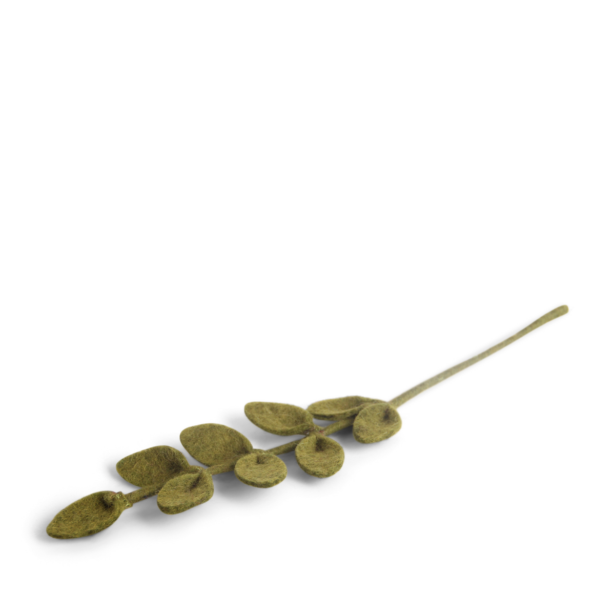 Leaf Branch With Sharp Green