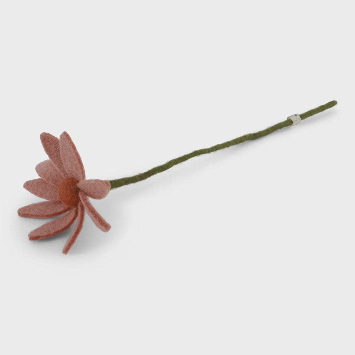 Cosmos