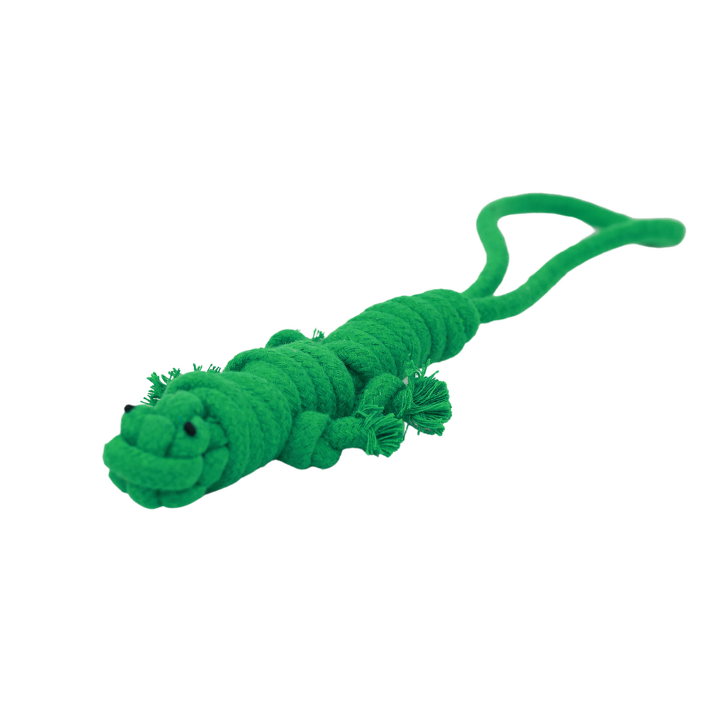 Owen the Green Lizard Rope Toy