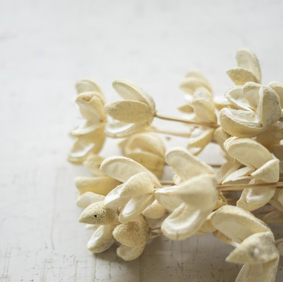 Bullet Flower