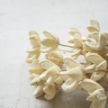 Bullet Flower