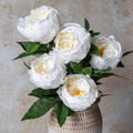 White Peony