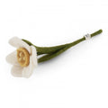 White Daffodil