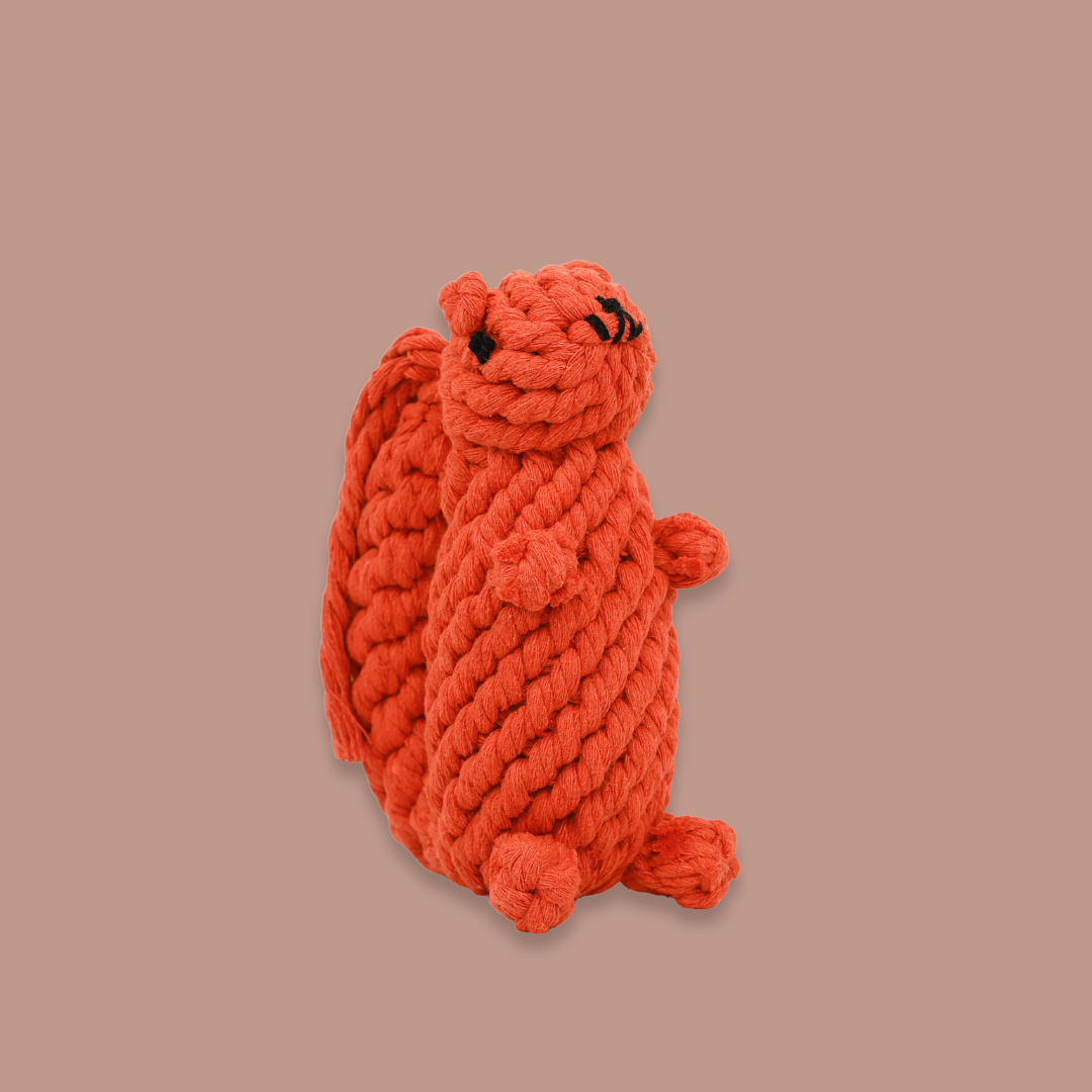 Oliver the Squirrel Rope Toy