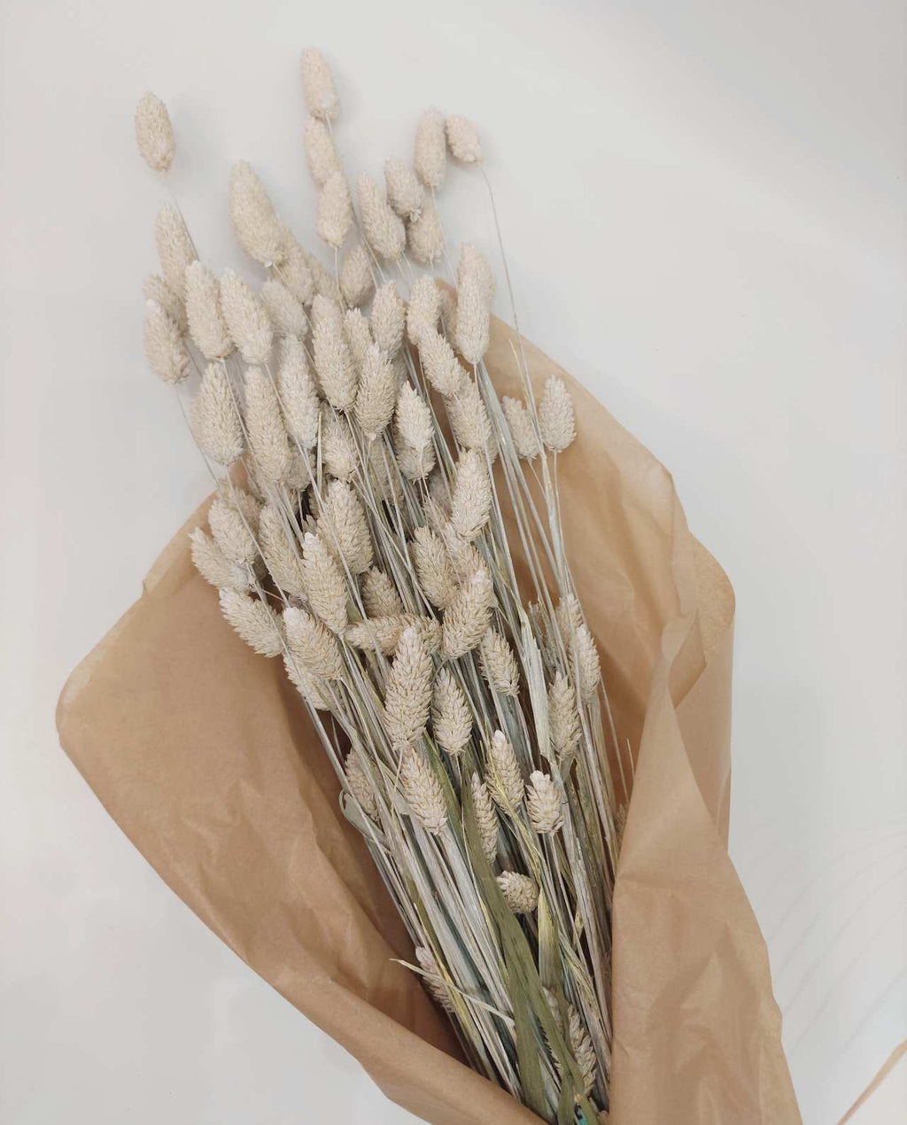 White Washed Phalaris Bunch